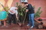 Limpieza y Hermoseamiento del jardín del edificio Municipal