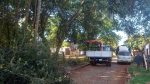 PODA DE ÁRBOLES EN EL BARRIO EL PROGRESO