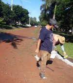 LIMPIEZA GENERAL Y PINTURA EN LA AVENIDA BRASIL