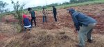 REACTIVACIÓN DE LA HUERTA COMUNITARIA